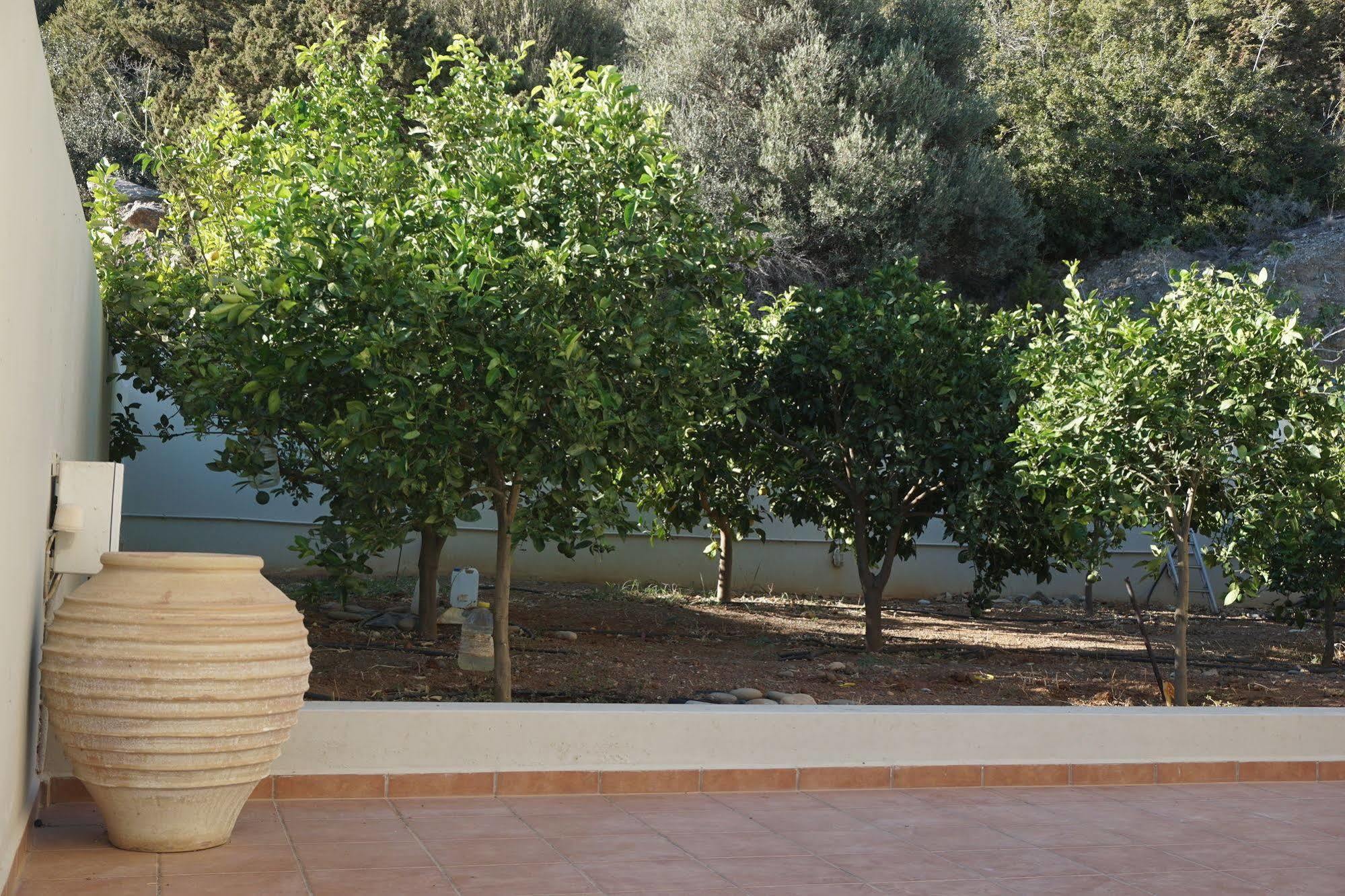 קרטוקמבוס Portela Apartments Kampoula מראה חיצוני תמונה